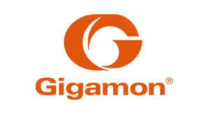 Strategic Partner - Gigamon