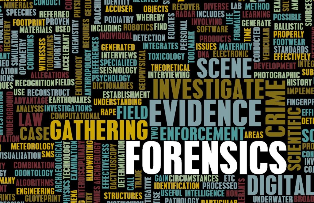 Digital forensics as a concept