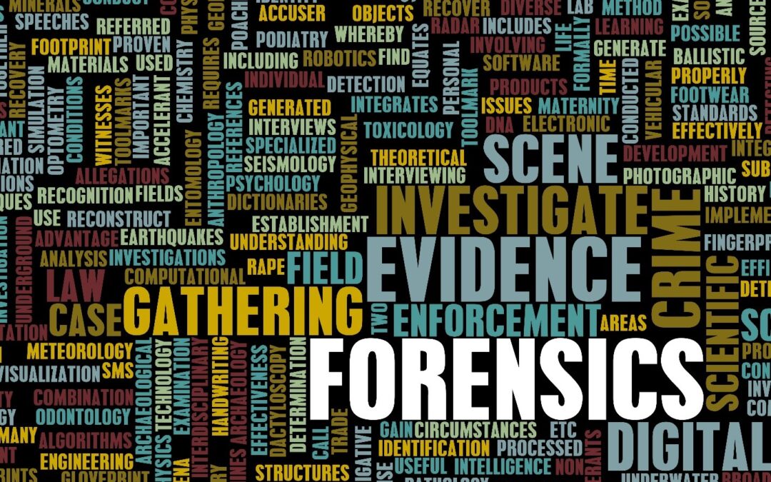 A Primer of Digital Forensics in Theory vs. Practice
