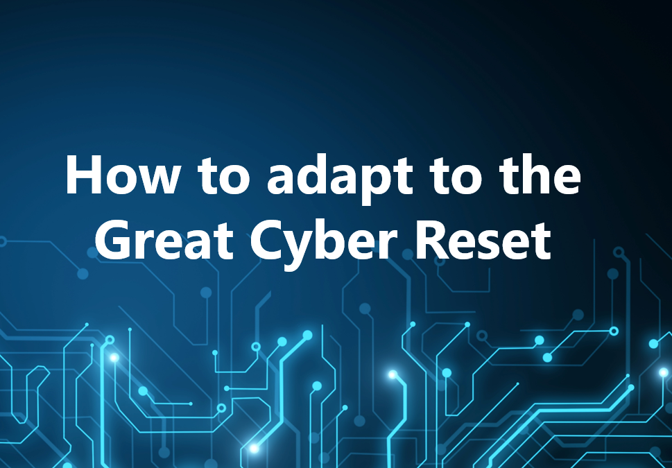 How to adapt to the Great Cyber Reset