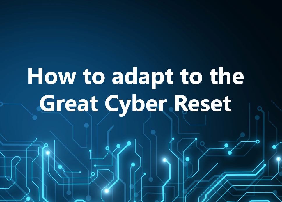 How to adapt to the Great Cyber Reset